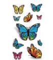 Flashy Butterflies