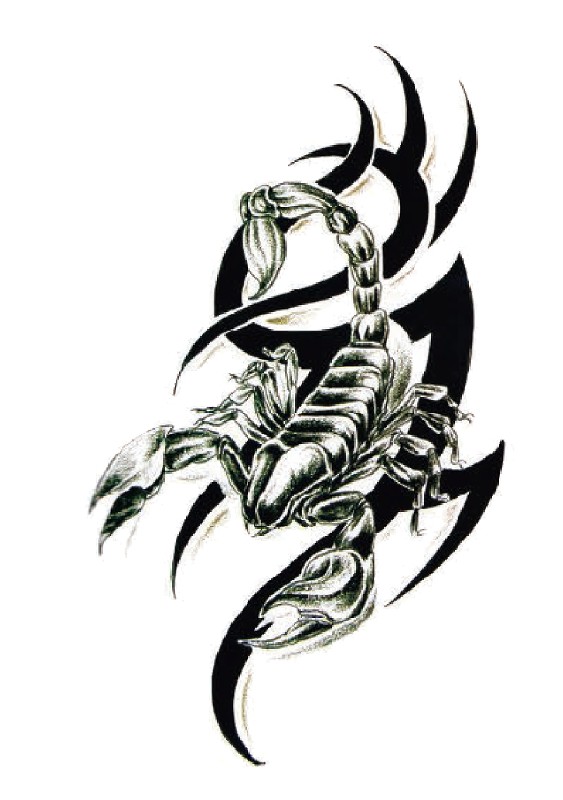 Scorpion Tribal Tattoo Vector Art Icons and Graphics for Free Download